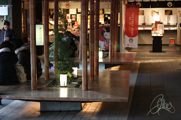 kimono-forest-Kyoto-Bamboo-Japan-Gillies