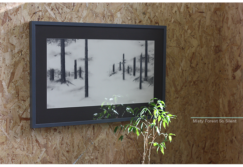 framed drawing by Peter Gillies titled Misty Forest So Silent.